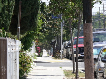 Enlarge photo 49