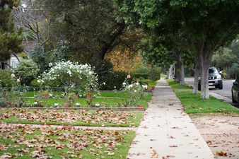 Enlarge photo 24