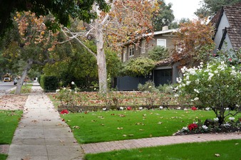 Enlarge photo 27