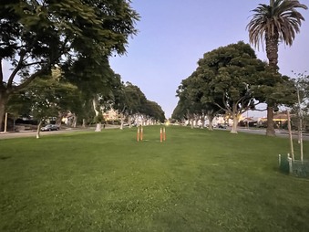 Enlarge photo 15