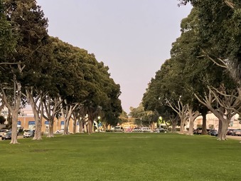 Enlarge photo 18