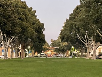 Enlarge photo 21