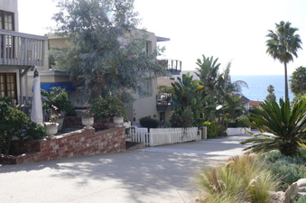Enlarge photo 40