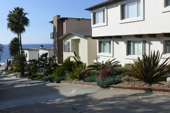 Enlarge photo 41