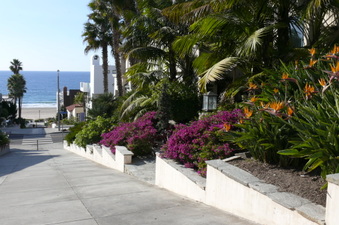 Enlarge photo 52