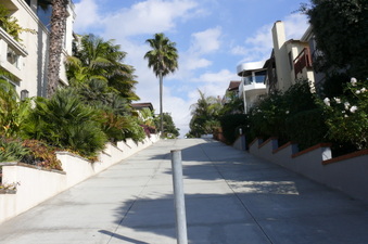 Enlarge photo 53