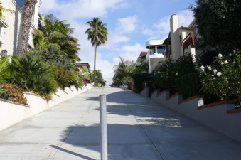 Enlarge photo 54