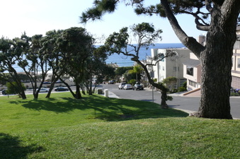 Enlarge photo 70