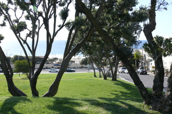 Enlarge photo 76
