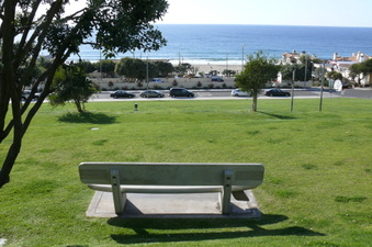 Enlarge photo 79
