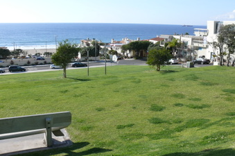 Enlarge photo 80