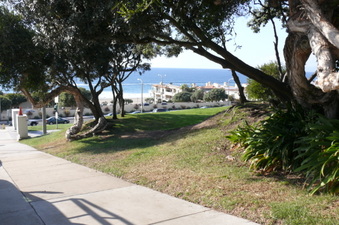 Enlarge photo 86