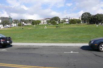 Enlarge photo 99