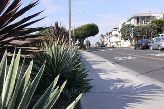 Enlarge photo 102