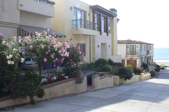 Enlarge photo 126