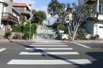 Enlarge photo 146