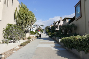 Enlarge photo 170