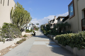 Enlarge photo 171