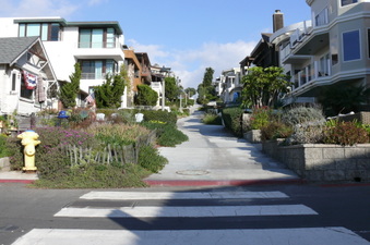 Enlarge photo 187