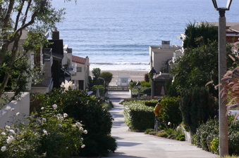 Enlarge photo 204