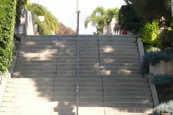 Enlarge photo 207