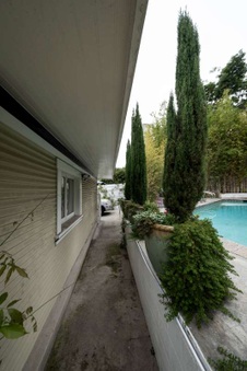 Enlarge photo 51