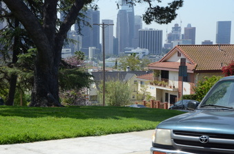 Enlarge photo 17