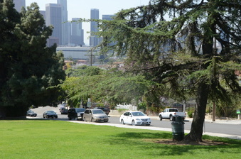 Enlarge photo 26