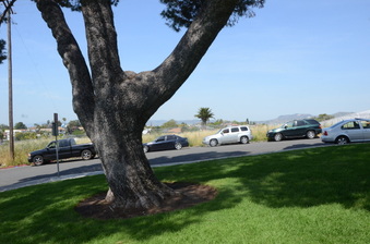 Enlarge photo 27