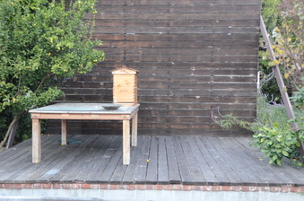 Enlarge photo 38