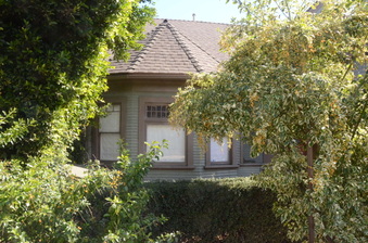 Enlarge photo 42