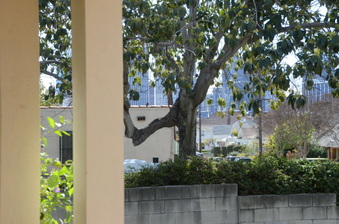 Enlarge photo 22