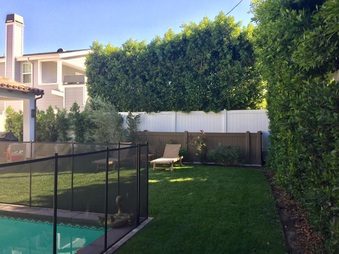 Enlarge photo 38