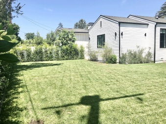 Enlarge photo 51