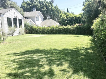 Enlarge photo 54