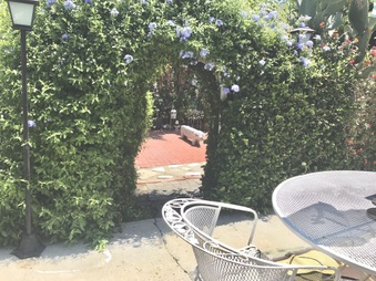 Enlarge photo 32