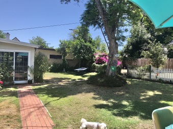 Enlarge photo 35