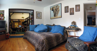 Enlarge photo 17