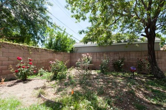 Enlarge photo 59