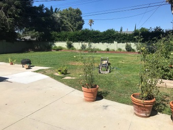 Enlarge photo 34