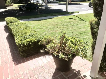 Enlarge photo 6