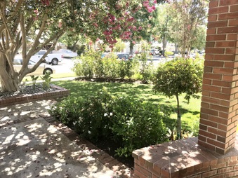 Enlarge photo 5