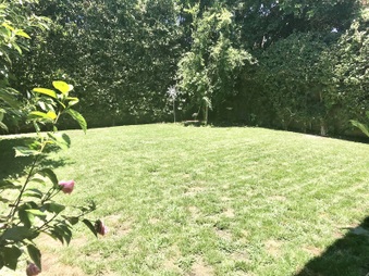 Enlarge photo 13