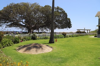 Enlarge photo 32