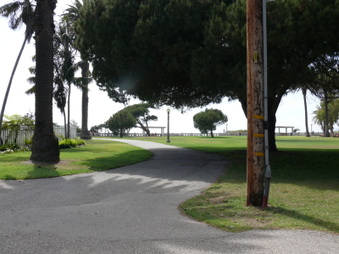 Enlarge photo 32