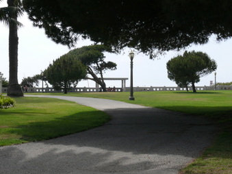 Enlarge photo 33