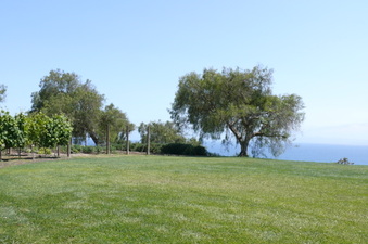 Point View