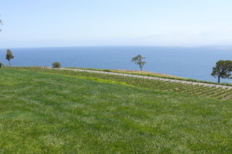 Enlarge photo 12