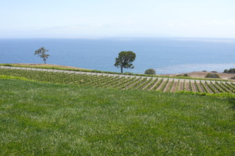 Enlarge photo 13