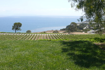 Enlarge photo 14